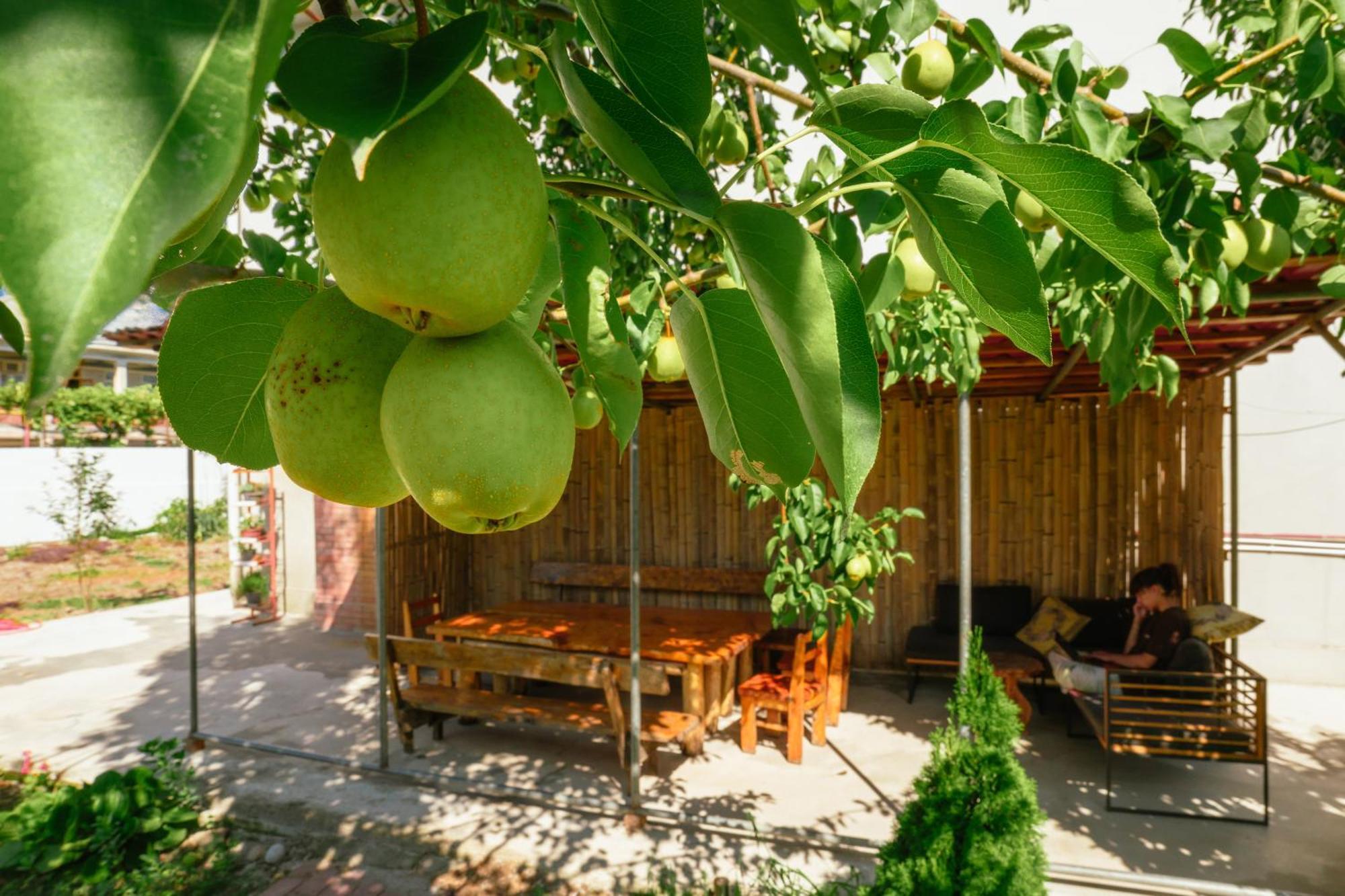 Senima'S Paradise Batumi Eksteriør billede